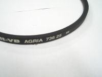 Keilriemen original Agria, Antrieb Vertikutiergert Nr.: 73625
